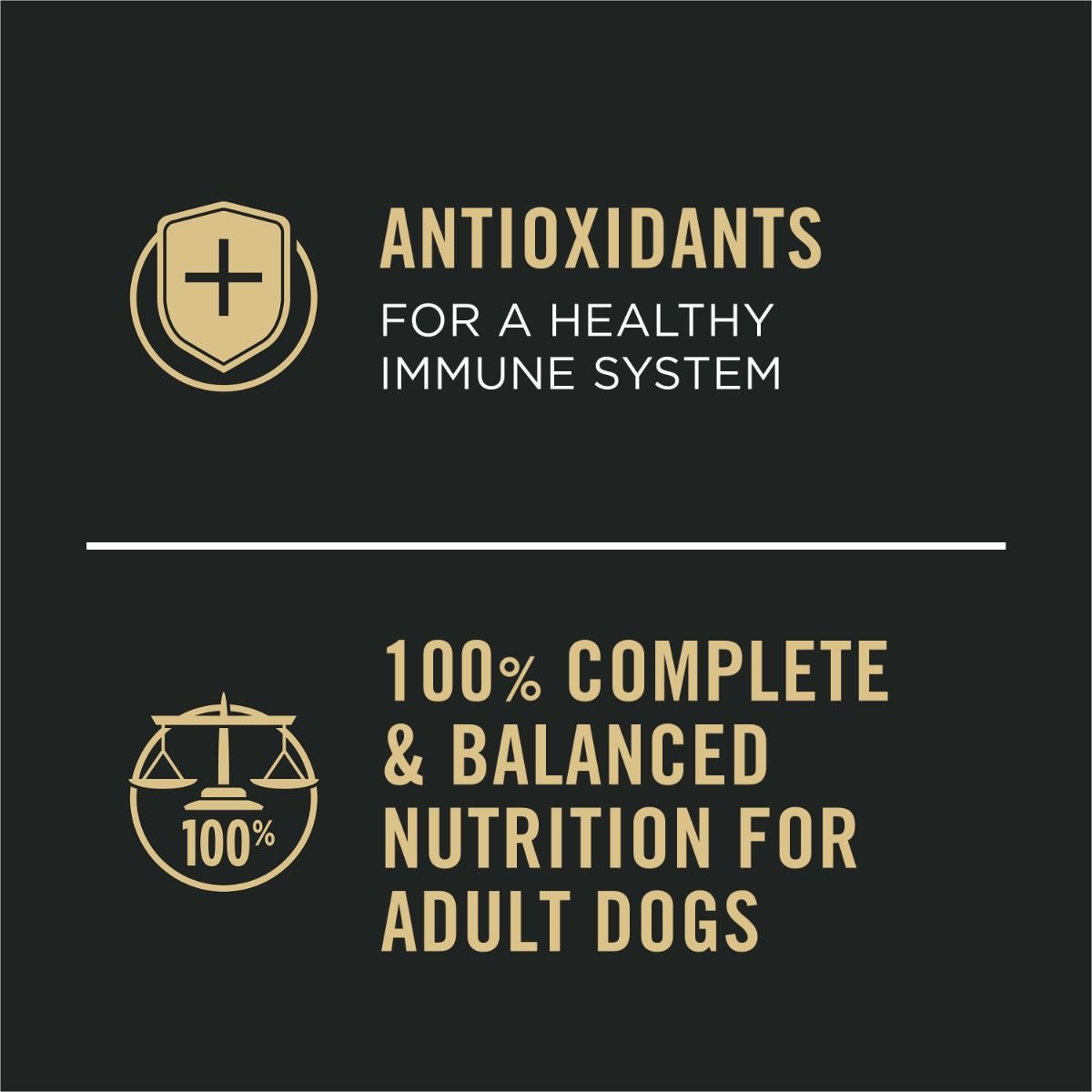 purina-pro-plan-sport-high-protein-beef-bison-wet-dog-food-complete-balanced.jpg