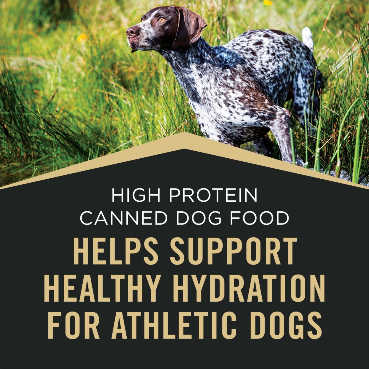 purina-pro-plan-sport-high-protein-beef-bison-wet-dog-food-hydration.jpg