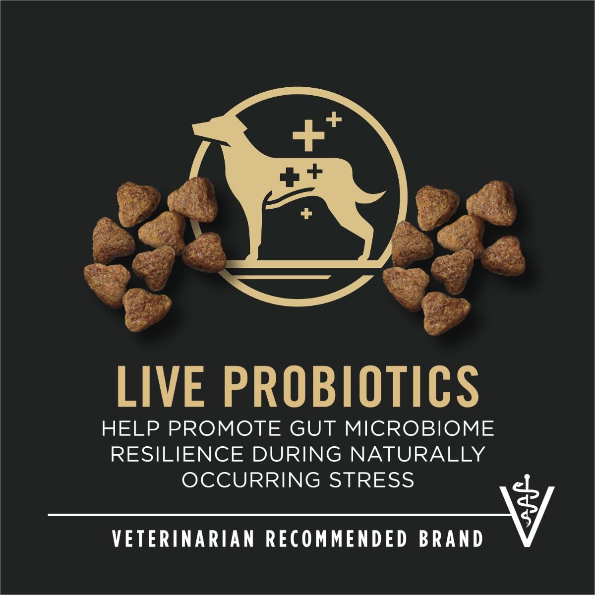 purina-pro-plan-sport-performance-30-20-beef-bison-dry-dog-food-live-probiotics.jpg